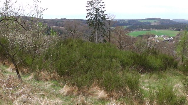 56-die-blumenrather-heide