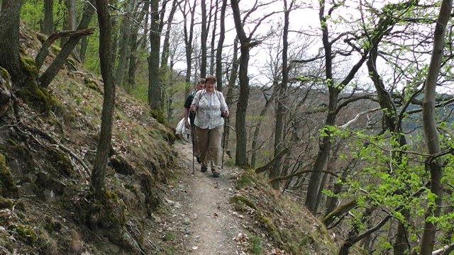 62-bergpfad
