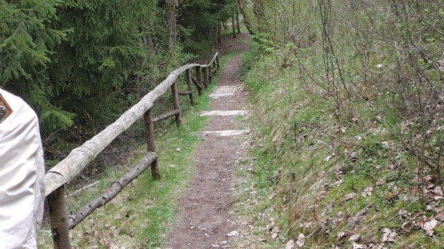 92-wieder-rauf