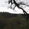88-blick-auf-die-ruine-virneburg