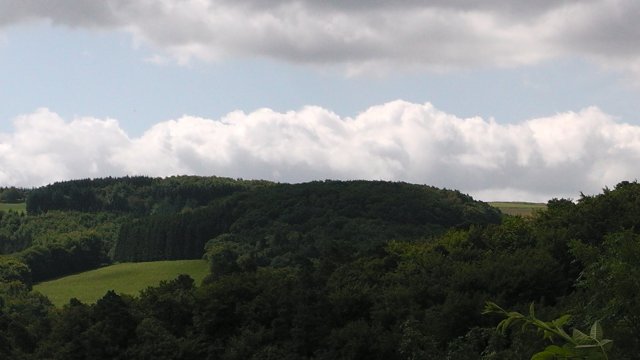 s1020029