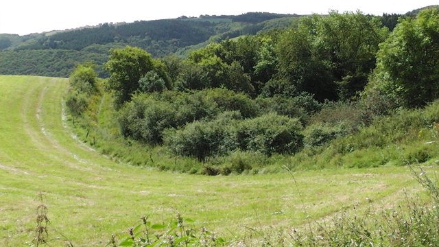 s1020050