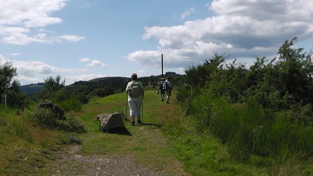 s1020094