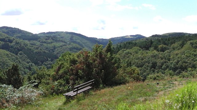 s1020099