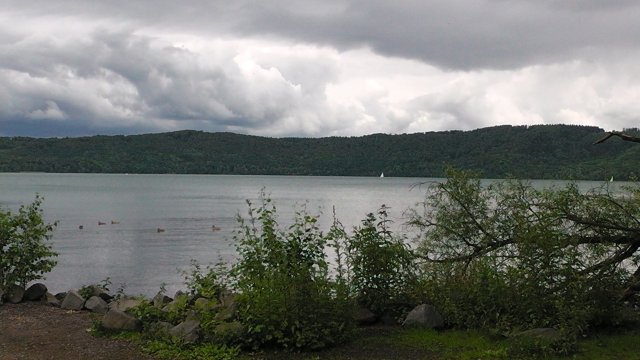 s1000049