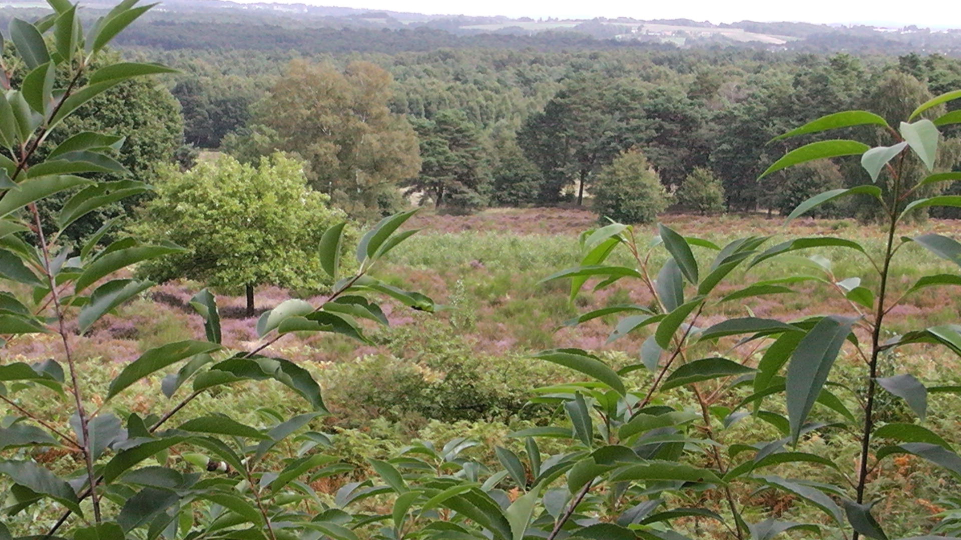 s1080009