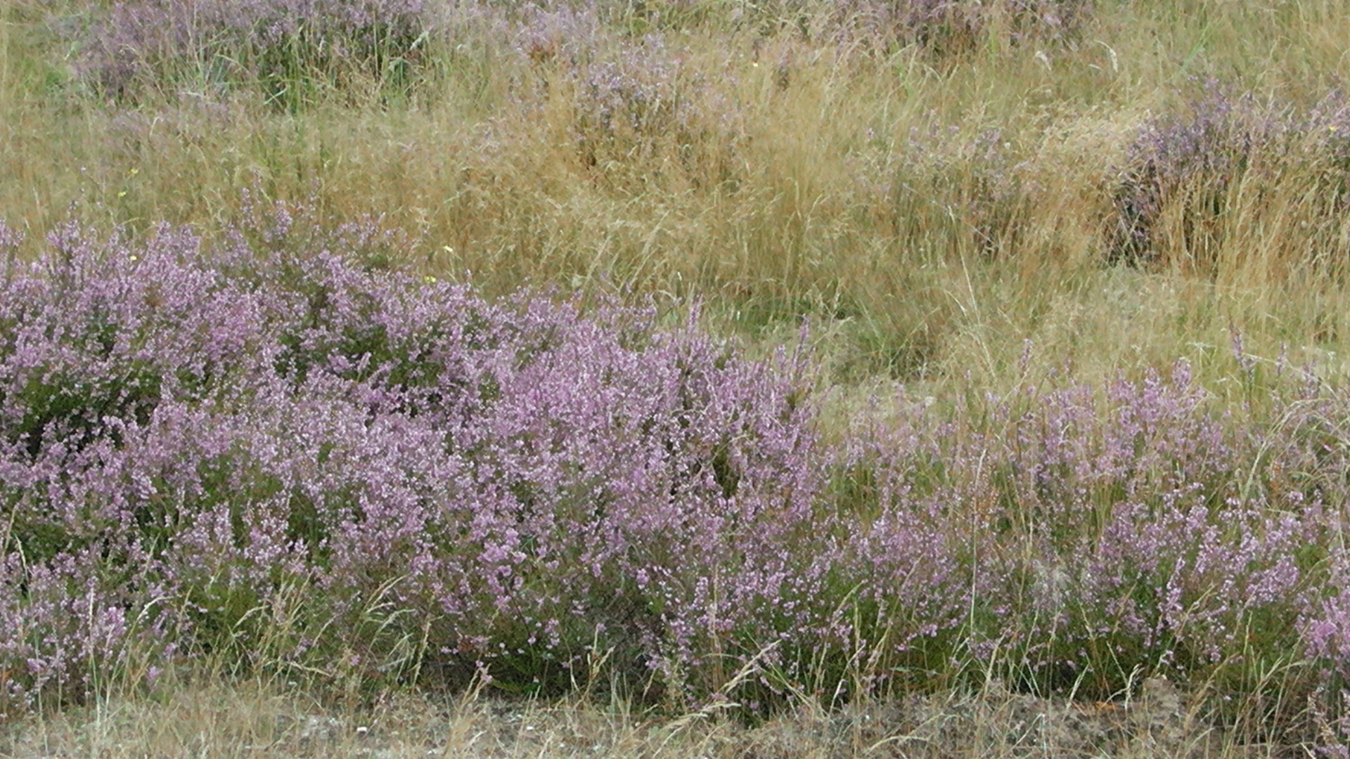 s1080019