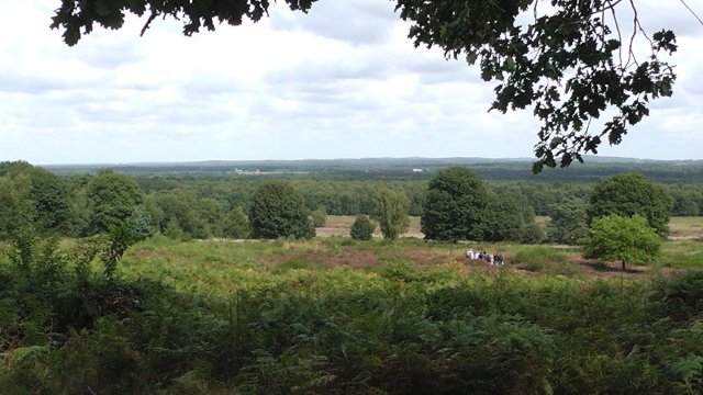 s1080016