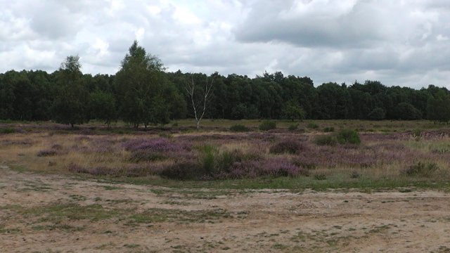 s1080018