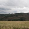 img_1181