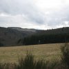 img_1182