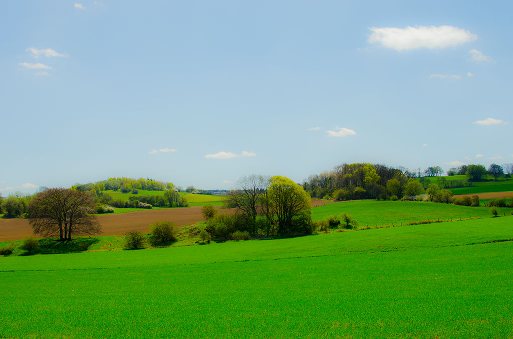 _dsc1862