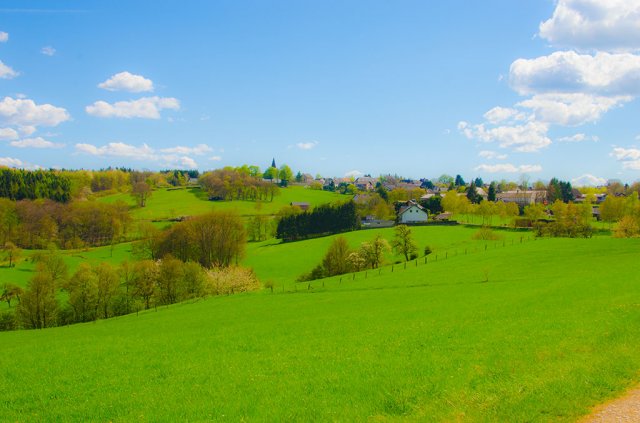 _dsc1925