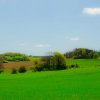 _dsc1862