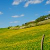 _dsc1872
